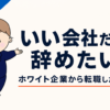いい会社だけど辞めたい｜ホワイト企業から転職した理由